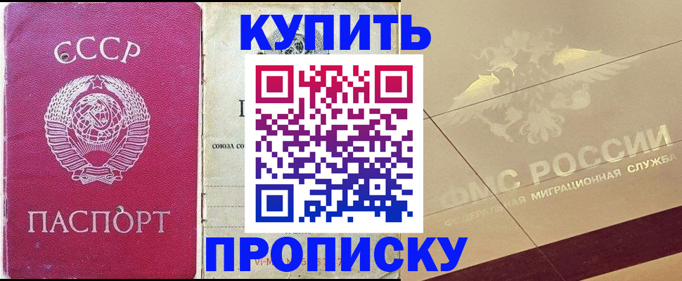 прописка для школы в Плавске